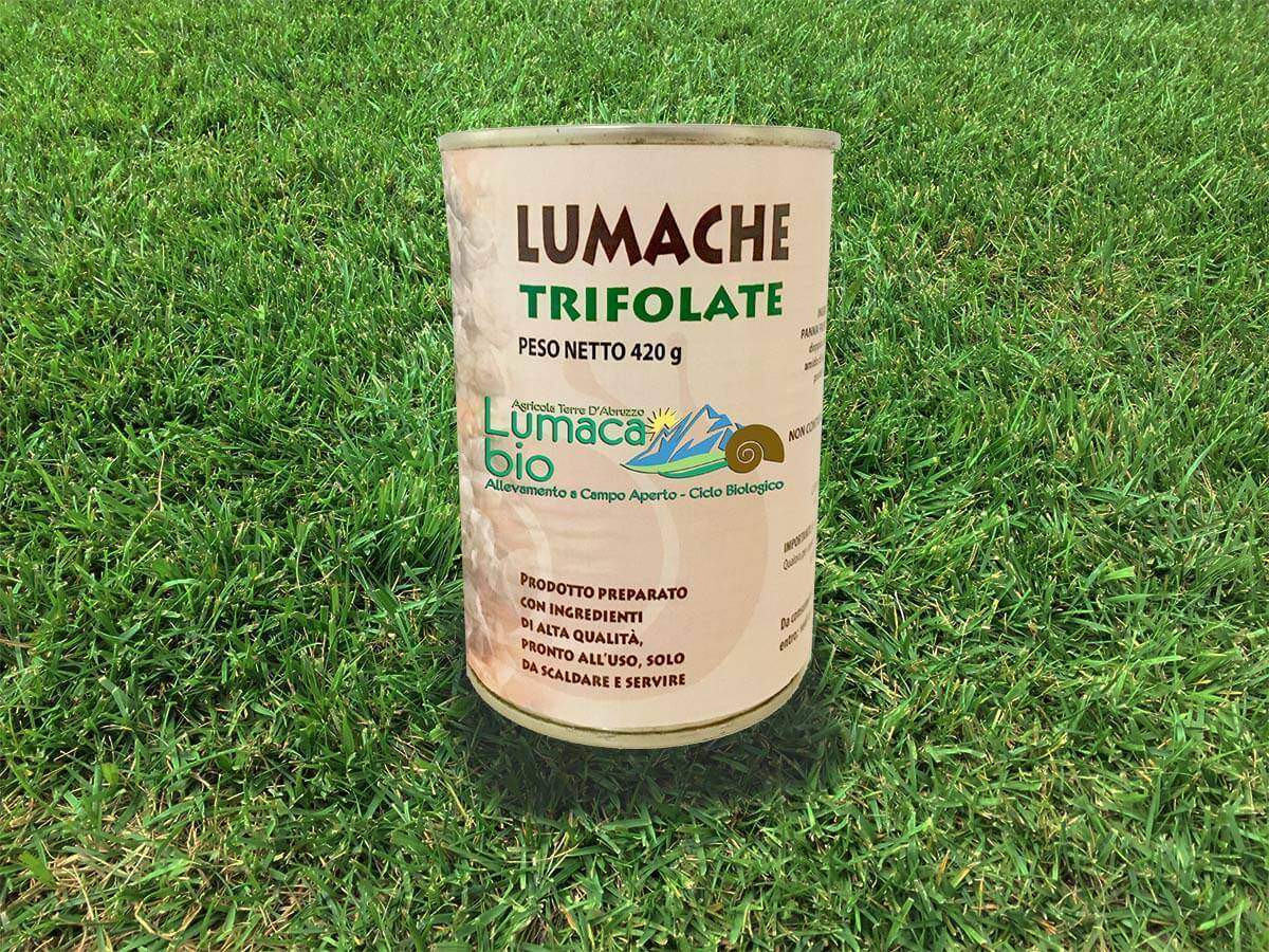 lumache trifolate