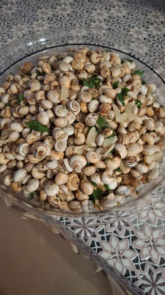 Lumachine al soffritto di aglio peperoncino e prezzemolo Theba pisana (Babbaluci) alla Sonia