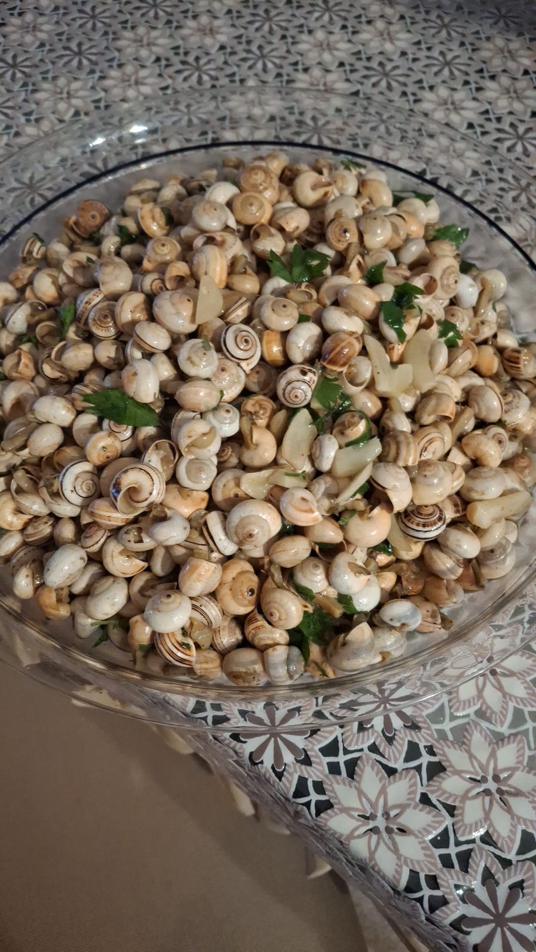 Lumachine al soffritto di aglio peperoncino e prezzemolo Theba pisana (Babbaluci) alla Sonia